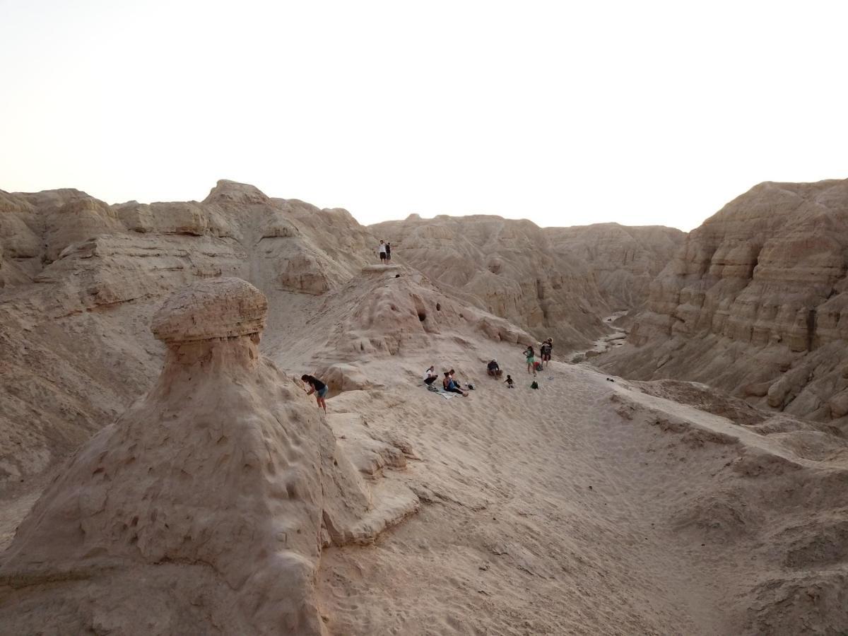 Desert Chilling - סתלבט במדבר Villa Neot HaKikar Esterno foto