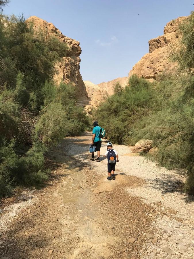 Desert Chilling - סתלבט במדבר Villa Neot HaKikar Esterno foto